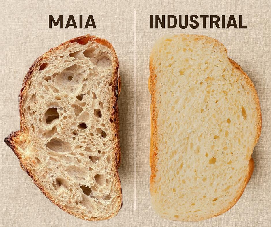Felie de pâine cu maia comparată cu pâine industrială